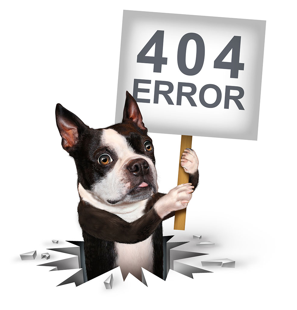 404-Dog
